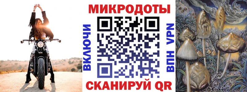 Псилоцибиновые грибы Psilocybe  цена наркотик  Лаишево 